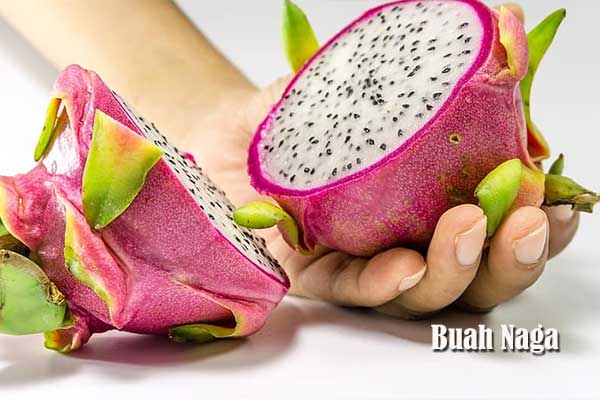 Khasiat Buah Naga