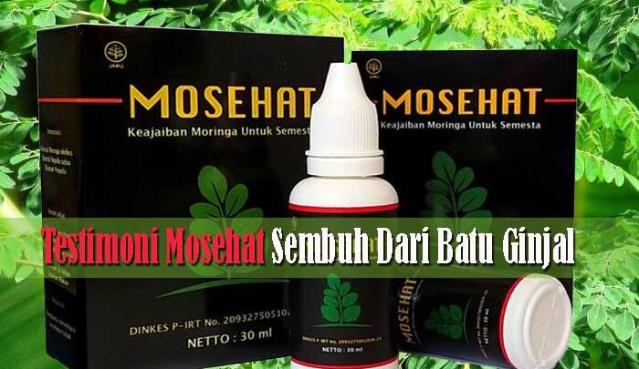 Testimoni Mosehat Sembuh Dari Batu Ginjal