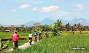 Tour Sepeda Ubud