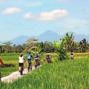 Tour Sepeda Ubud