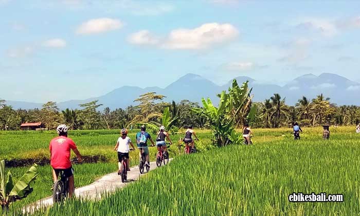 Tour Sepeda Ubud
