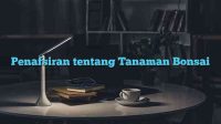 Penafsiran tentang Tanaman Bonsai