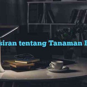 Penafsiran tentang Tanaman Bonsai