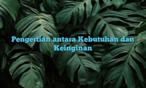 Pengertian antara Kebutuhan dan Keinginan