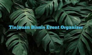 Tinjauan Bisnis Event Organizer