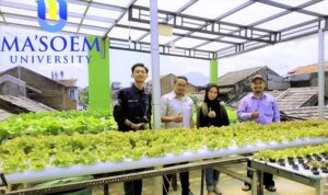 fakultas pertanian ma'soem university
