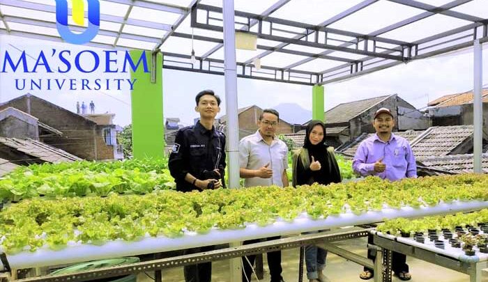 fakultas pertanian ma'soem university